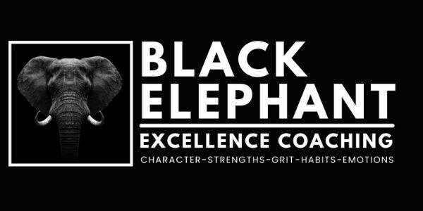 Black Elephant Excellence Coaching Logo